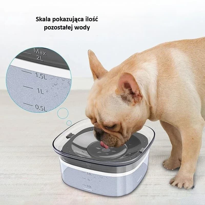 FreshBowl Elite – Dwufunkcyjna Miska dla Wymagających Pupili 🐱🐶